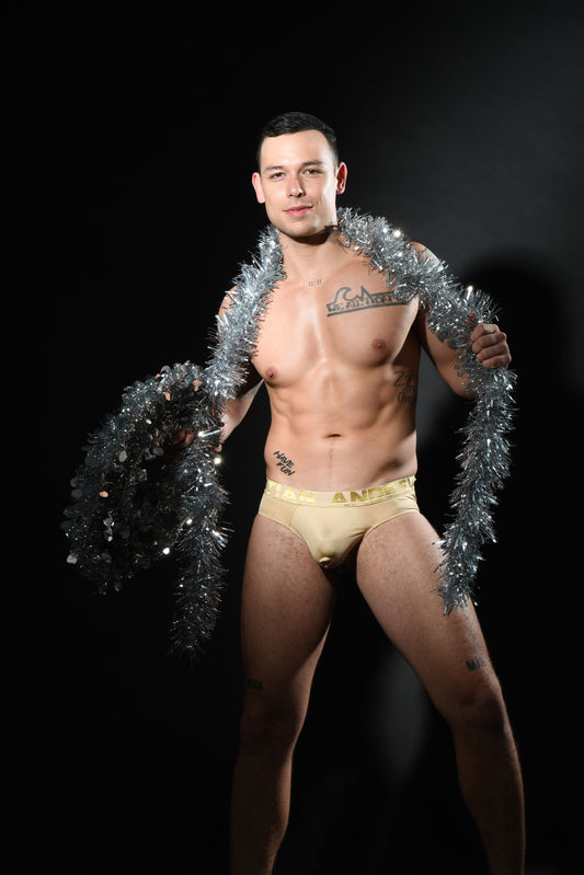 Andrew Christian: Champagne Simmer Brief